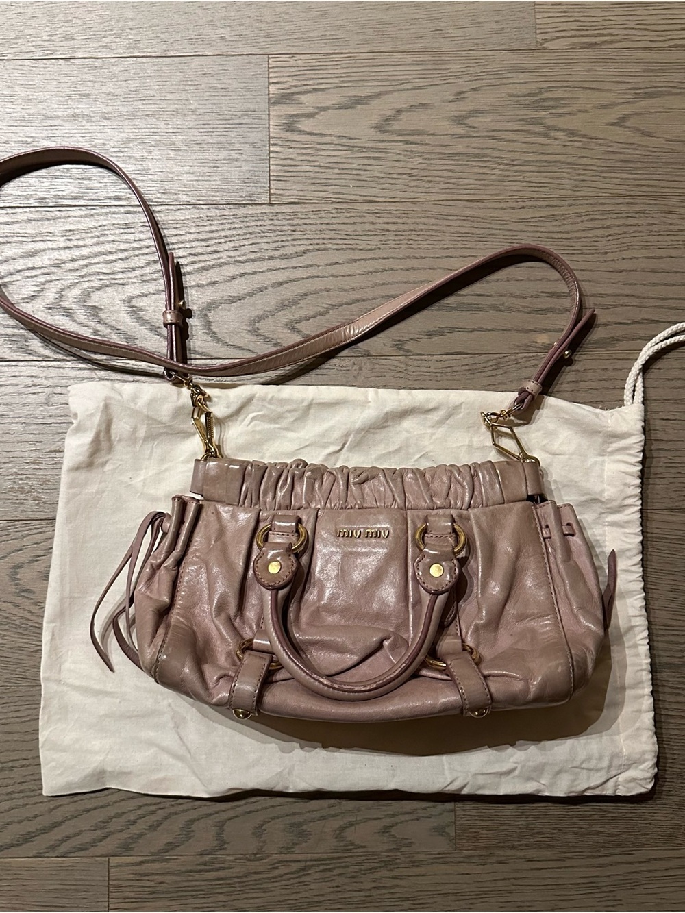 Miu Miu Leather Bag
